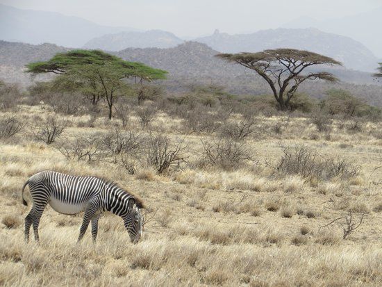 Buffalo Springs Reserve